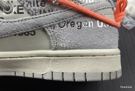 Nike Low 19 DJ0950-119 Dunk Lot O-W 0623